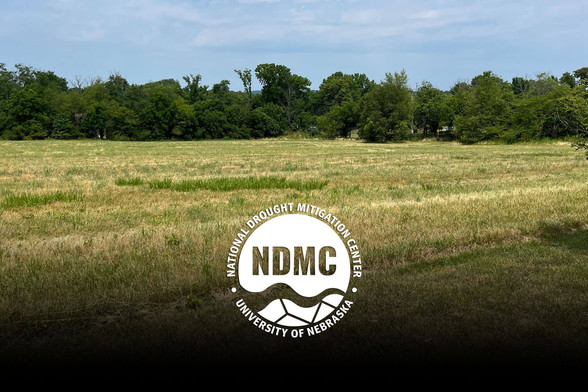 This photo shows drought conditions in Montgomery County, Pennsylvania, on July 4, 2024. Photo submitted via Visual Drought Atlas.