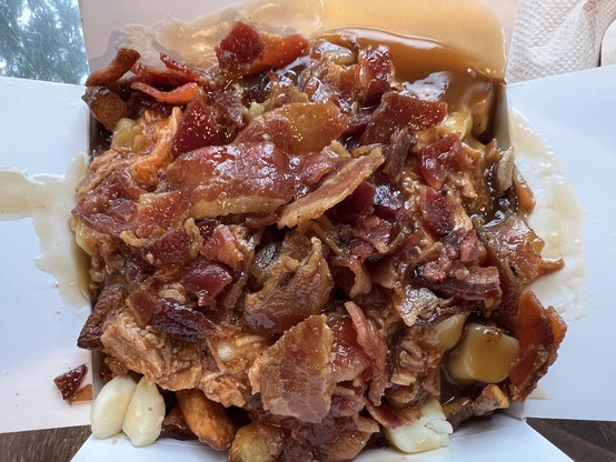 A plate of poutine, which looks like some brown gravy and meat completely covering French fries. Cheese curds are around the edges. 

This photo copyright 2024 by Maria Langer. All rights reserved. Neither this image nor the accompanying alt text may be used to train AI systems.