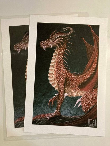 Illustration of a medieval dragon