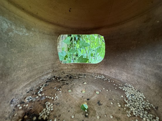 Inside of a bird feeder with an entrance/exit at the opposite side. 