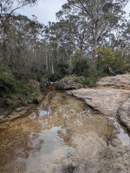 A yellow and blue emtb stands on a sandstone bank above a firetrail's shallow creek crossing. The grasses beside the creek have been flattened by recent flooding, and the creek bed has been scoured clean. Some yellow wattle (acacia) flowers are behind the bike, amongst gum trees and natural bushland.