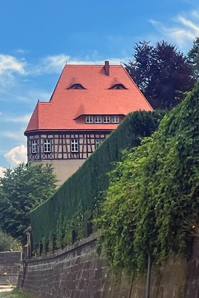 View from below of house on hill with steep tiled red roof with dormers that look like eyes and mouth with windows as teeth 