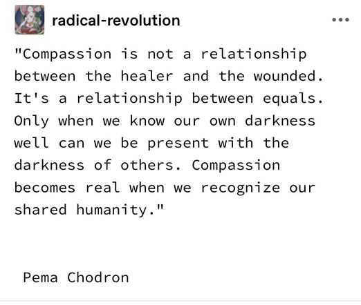 Quote on compassion being a recognition of shared humanity