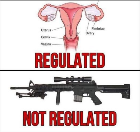 REGULATED: [diagram of a woman's reproductive organs]

NOT REGULATED: [photo of an AR-15 with tactical attachments, bipod, and scope]