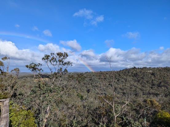 Under clear blue skies, a rainbow has lit up. The foreground is natural bushland, and clouds sit just above the horizon.