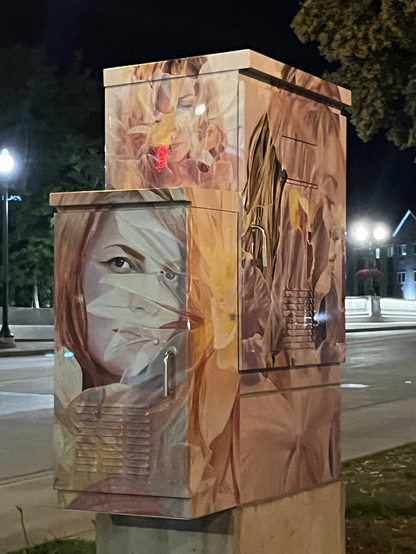 Metal power box painted with a woman’s face, stalks - night street and streetlights behind