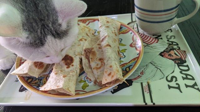 A white cat with a tabby spot on her forehead sniffing burritos on a Norman Rockwell themed tray