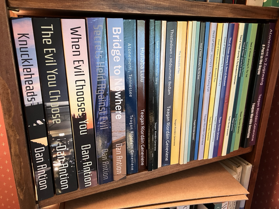 Bookshelf showing books by Dan Antion and Tesgan Geneviene 