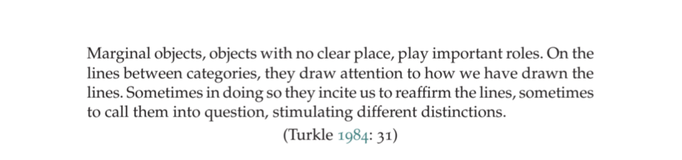 Marginal objects, objects with no clear place, play important roles. On the lines between categories, they draw attention to how we have drawn the lines. Sometimes in doing so they incite us to reaffirm the lines, sometimes to call them into question, stimulating different distinctions.
(Turkle 1984: 31)