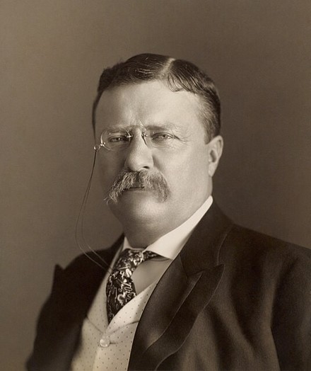 Teddy Roosevelt, NYC Police Commissioner.