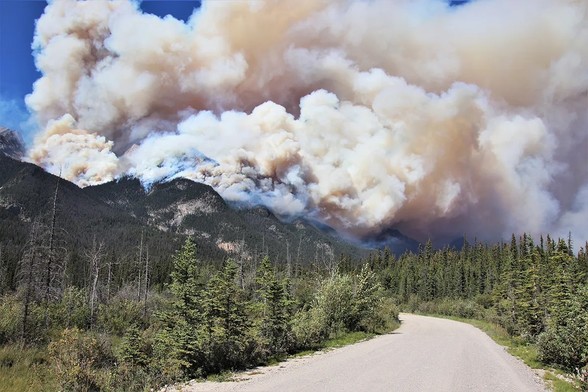 Forest fire in Jasper Nationsl Park driven by hot dry weather, driven by climate change, driven by fossil fuel derived CO2, driven by government support and subsidies.
