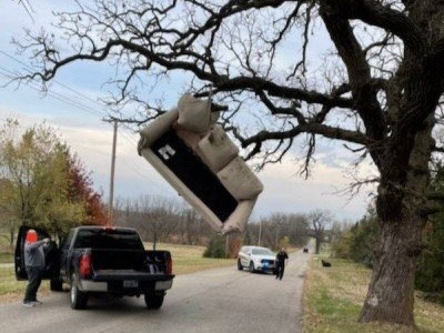 Couch hanging from tree