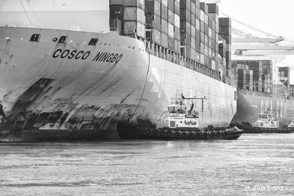 A Black And White Photo In Landscape Format. In The Foreground Is A Large Container Ship, Viewed From The Bow. The Ship's Name 'COSCO NINGBO' Is Painted In Large Letters Above The Stowed Anchor. The Hull Is Light Grey But With Many Black Scuff Marks From Tugs Fenders. 20 Metres Aft Of The Bow Is A Large Tug Pushing The Container Ship Towards The Berth, A Line Is Visible Hanging Loose From The Ship's Gunwale To The Tugs Fore Deck. The Same Towards The Stern: Another Tug Pushing. The Ship Is Not Parallel To The Shore, The Stern Being Slightly Closer. Above Deck Many Containers Are Stacked 7 High. Aft Of The 'COSCO NINGBO' Is Another Container Ship, Moored And With Gantry Cranes Overhead. This Ship Has A Dark Hull With The Shipping Line's Name 'CMA CGM' In Large White Letters. 

Pier J, Long Beach, California. 2015 