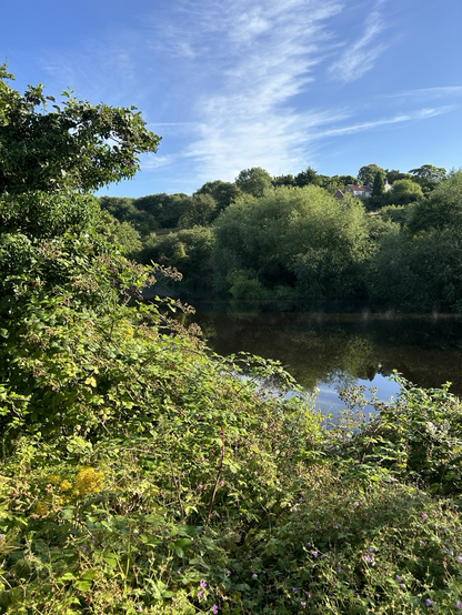 A view across the river Tees from Yarm to Egglescliffe village.