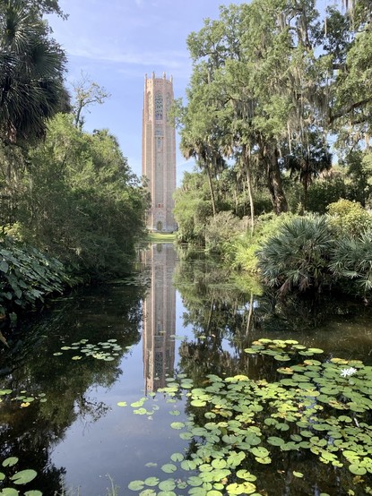 View across water of bell tower with reflection surrounded by lily pads and trees