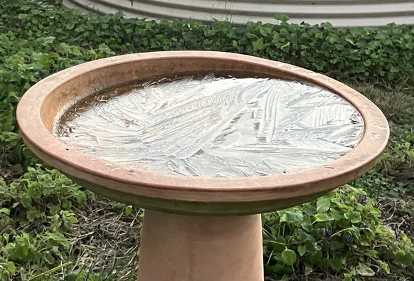 A terracotta birdbath whose surface is iced over.