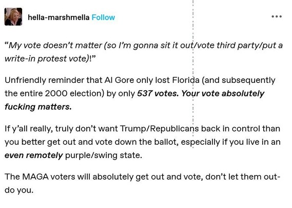 Post by hella-marshmella:
 “My vote doesn’t matter (so I'm gonna sit it out/vote third party/put a write-in protest vote)!”

