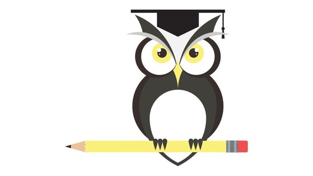 An owl wearing a mortarboard is perched on a horizontal yellow pencil