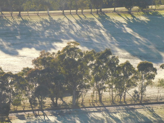 Long shadows and frosty pasture.