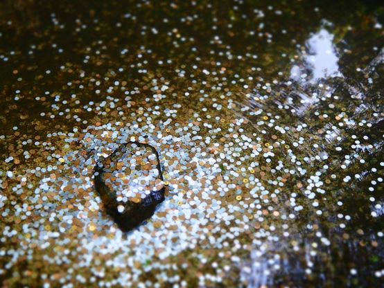 Coins in fountain by Abigail Low, Unsplash 