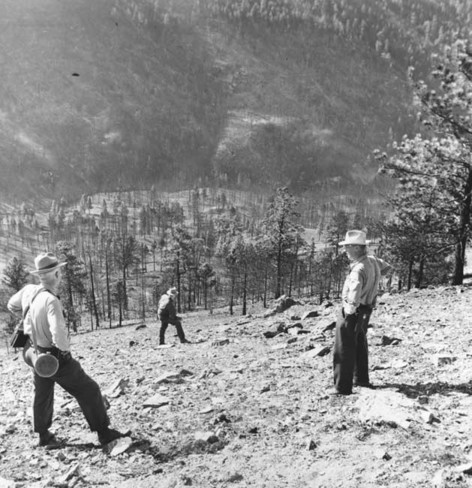 Investigation party photo taken from the N slope of Mann Gulch looking S from Dodge's escape fire.