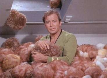 Captain Kirk covered in fuzzy Tribbles