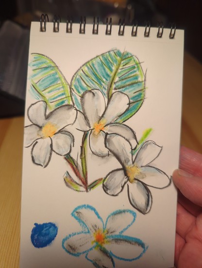 Sketchbook painting of three white flowers and two green leaves