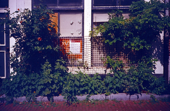 Some façades in Amsterdam do strike you with lots of green. Shot on 35mm expired Kodak Ektachrome 100VS analog film with a Lomo Lc-a camera. 