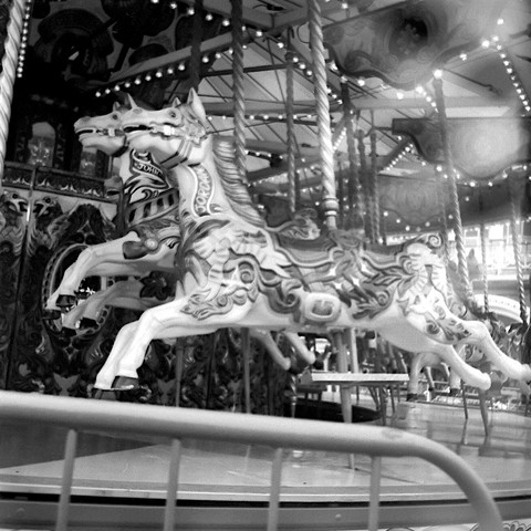 A carousel horse.