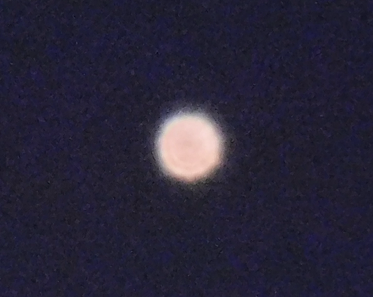 Best I could do with Venus - fluffy pink disc. 