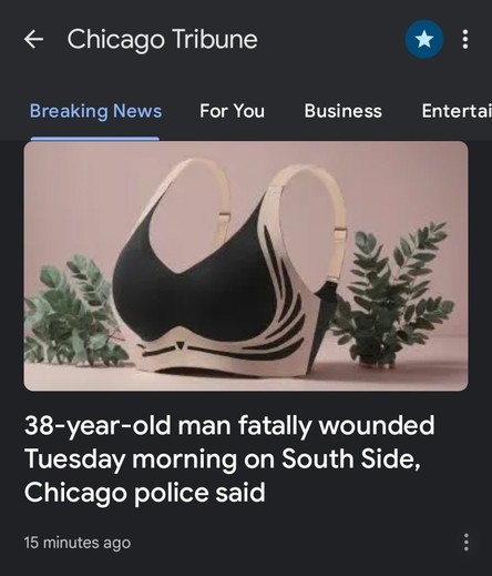 Image of a news app. It says Chicago Tribune at the top. A photo of a bra, shaped as if it was on someone's body but with the body removed, and random greenery on either side. The title says 