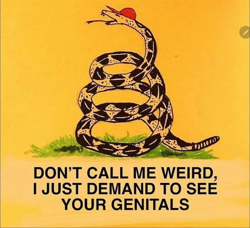 Don't Tread On Me flag spoof:
Snake wearing a red hat with text "Don't Call Me Weird, I Just Demand To See Your Genitals"