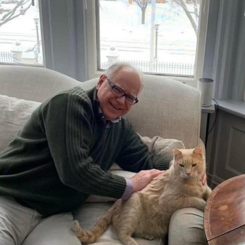 A person smiling while sitting on a couch and petting a relaxed ginger cat. A snowy scene is visible through the window behind them.