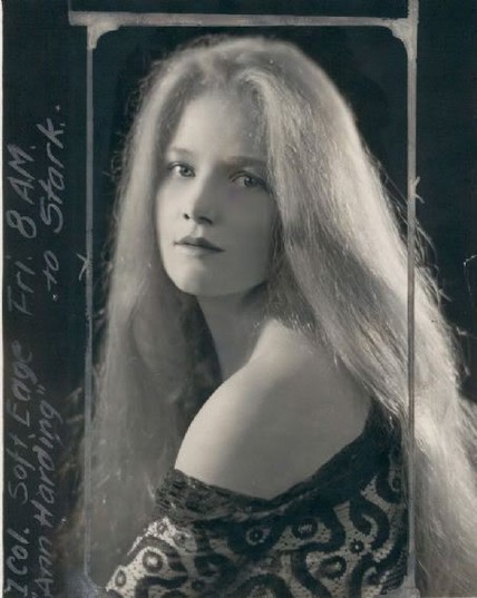 Actress Ann Harding
Photo: public domain
Article: Copyright 2024, Arthur Newhook.
Follow The Echo of a Distant Time
https://tinyurl.com/TheEchoOfADistantTime
https://tinyurl.com/ArthurNewhook