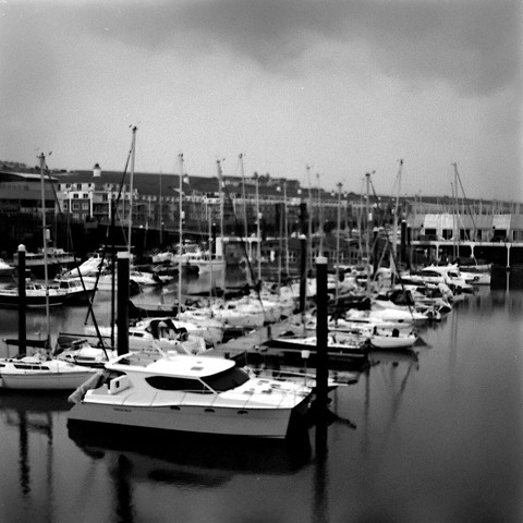 Boats moored at Brighton Marina.