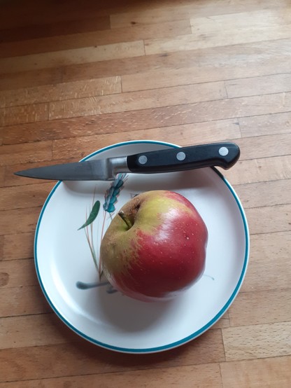 Photo of a red and green apple on a white plate with teal green rim and part of a design of ears of corn, a small Prestige knife with black handle on a wooden work surface.