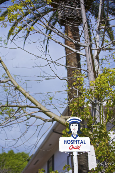 A Colour Photo In Portrait Format. The Image Is Shot In A Semi-Rural Setting. In The Lower Right Corner Is A Quirky Road Sign Comprising Of A Cutout Of A Female Nurses's Head With Her Finger Raised In Front Of Her Lips And Beneath The Words: 'Hospital - Quiet'. Behind Are Some Trees, Including One Large Palm Tree And A Building Blurred Out Of Focus. Above A Partly Cloudy Sky.

Avalon, Santa Catalina, California (2014)