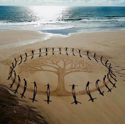 About 35 naked people stand in a marked circle close to the wet sands on a bright sunny day,in a very powerful way,  of the sea. Their heads are thrown back and arms are open wide to each other 