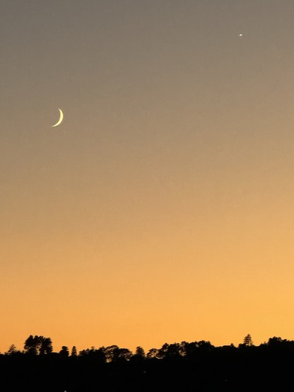 A crescent moon and Venus in a golden and orange sky at sunset. The silhouette of trees is seen along the lower horizon.