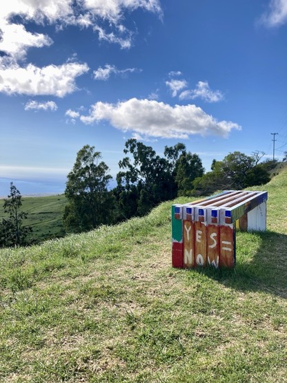 This photo shows lots of blue sky over a steeply sloped pastoral landscape. The Pacific Ocean can be seen on the horizon, some windswept trees in the middle ground, and a roadside bench in the foreground. The bench has been painted many colors, and written on it are the words “yes = now.” 