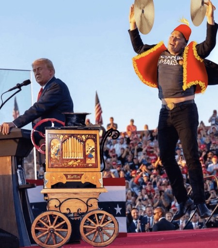 Donald Trump as an organ grinder standing next to Elon Musk, dressed as his monkey, leaping into the air and holding cymbals. Source = the interwebs.