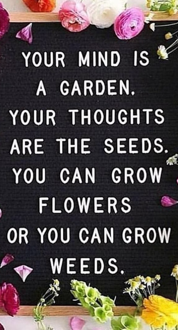 Your mind is a garden. Your thoughts are seeds. You can grow flowers or you can grow weeds.