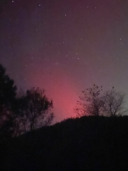 Red aurora is visible through the silhouettes of trees