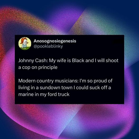 Anosognosiogenesis
@pookleblinky

Johnny Cash: My wife is Black and | will shoot
a cop on principle

Modern country musicians: I'm so proud of
living in a sundown town | could suck off a
marine in my ford truck