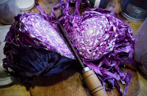 Red cabbage being cut up for steaming in the little old Aroma rice cooker (it will take two batches to do this) with onion greens, sweet peppers, water, vinegar, sea salt, maple syrup, spices to taste. Some to water bath can, some to freezer. Seen edge-on from the back is my favorite knife, a third-grade (for then) Hong-Kong-made cleaver.