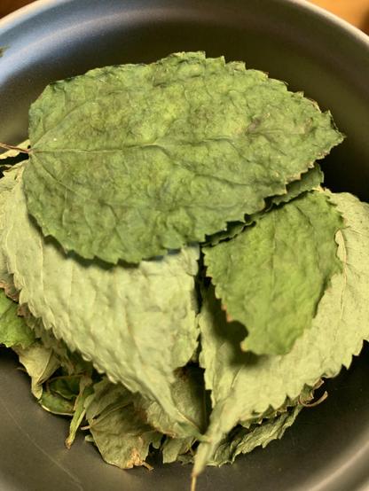 A close-up image of dried green leaves stacked in a spice grinder.