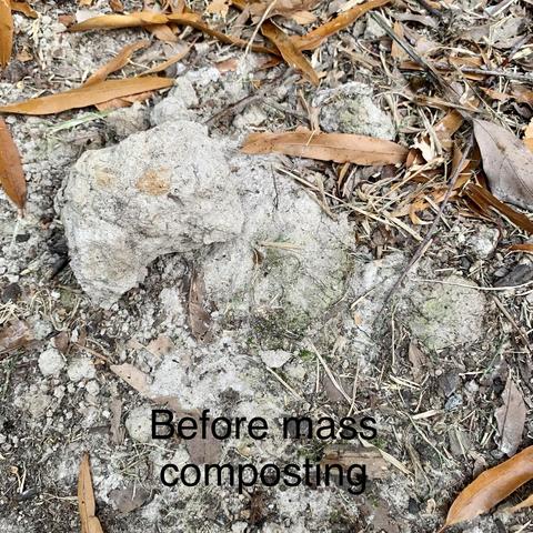 A pile of organic material and soil with scattered leaves, labeled "Before mass composting."

There are large blocks of whitish clay dug up. 