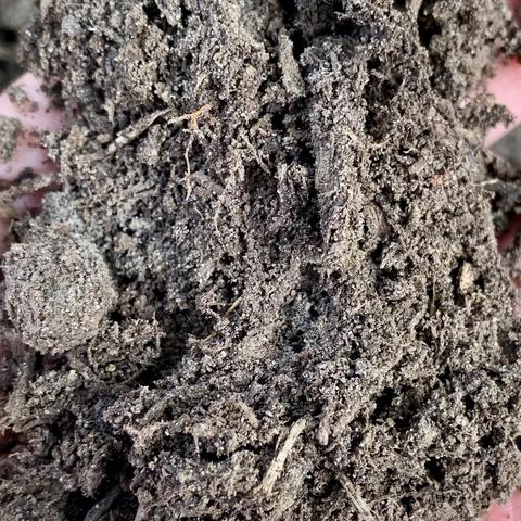 A close-up of dark, crumbly soil with visible organic matter and small roots.
