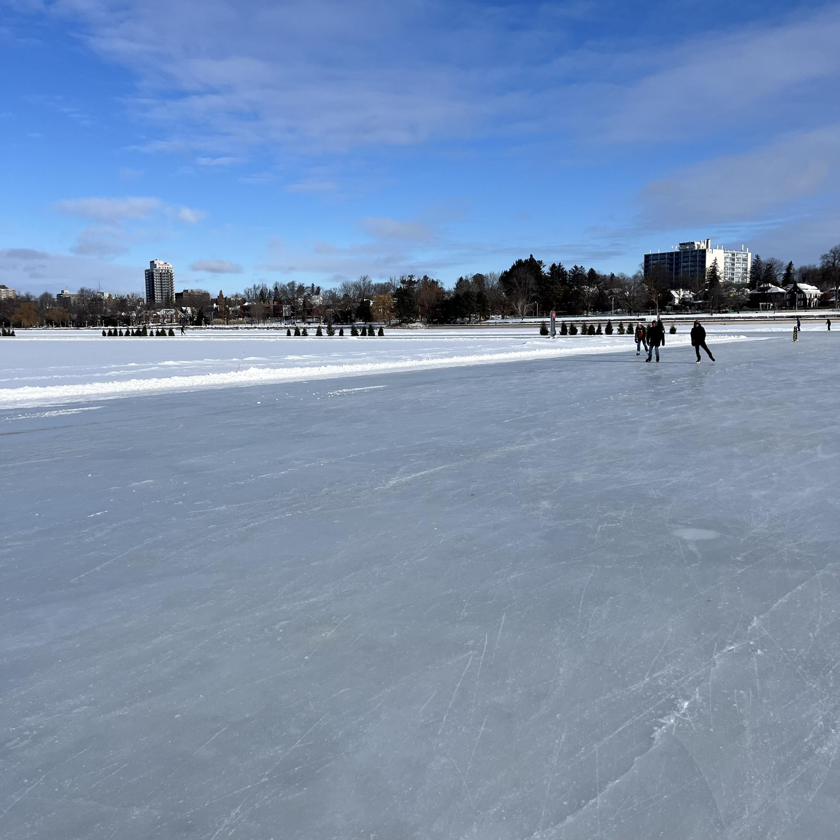 A frozen Dow’s lake with several people ice skating. The background features a clear blue sky, distant buildings, and trees along the shoreline.