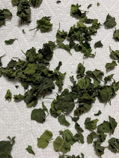 A close-up view of dried green leaves scattered on a paper towel.